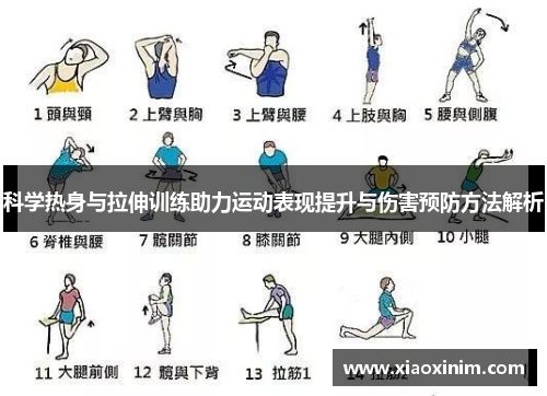 科学热身与拉伸训练助力运动表现提升与伤害预防方法解析